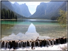 foto Lago di Dobbiaco
